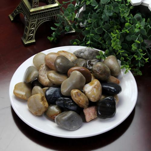 Vườn sỏi đá gần tôi