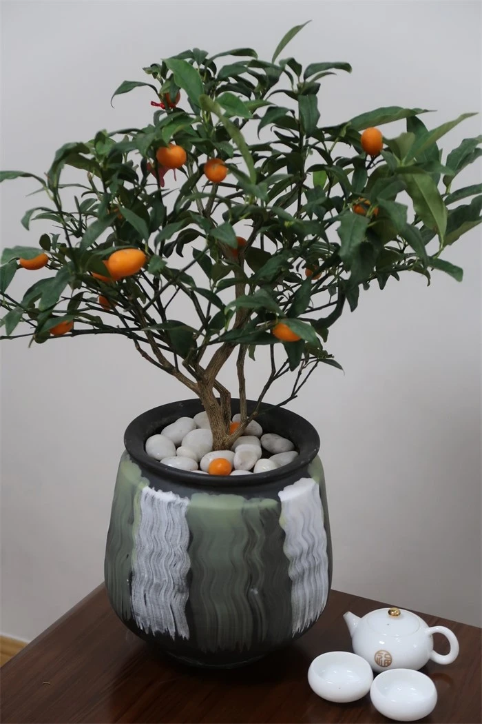 product-700-1050